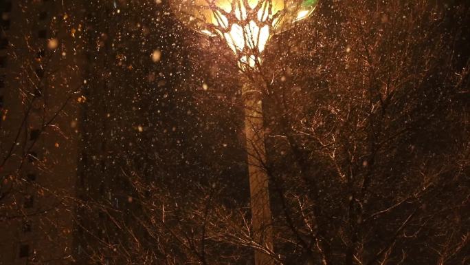 夜晚路灯下童话雪景