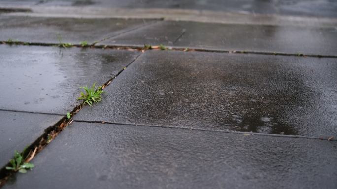 降雨和降雨淅淅沥沥小路阴冷潮湿