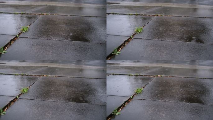 降雨和降雨淅淅沥沥小路阴冷潮湿