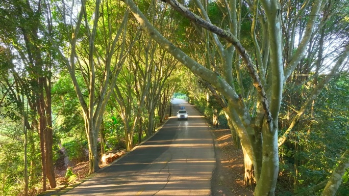 汽车行驶在路上