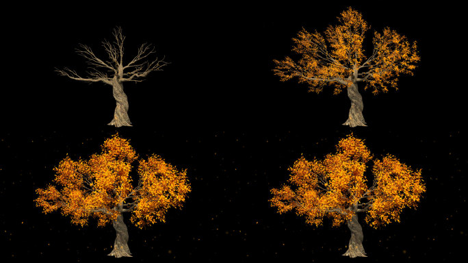 秋季树木黄树叶飘落-带透明通道