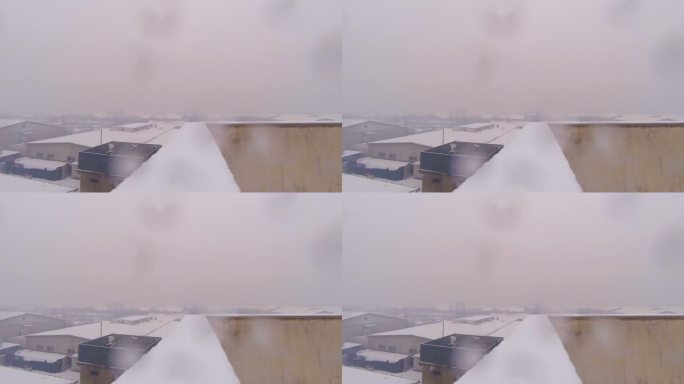 降雪下雪天冬天雪景小雪花飘飘