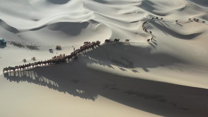 沙漠素材 自然景色 沙漠骆驼 驼铃