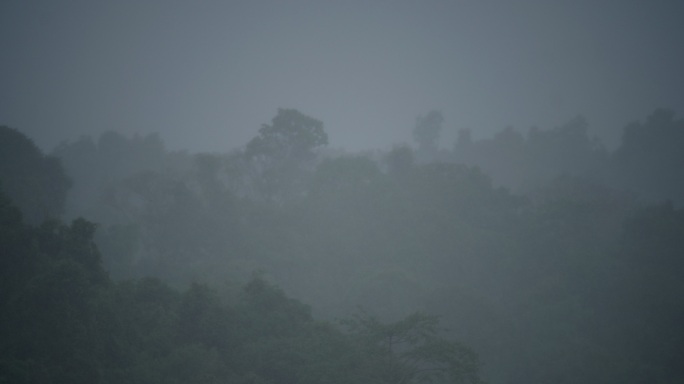 森林中下雨的场景，自然背景