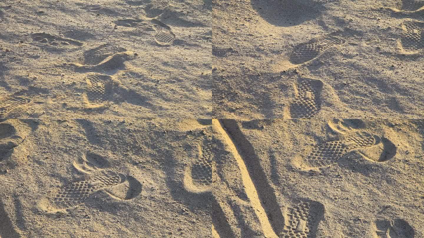 沙滩上一连串的脚印