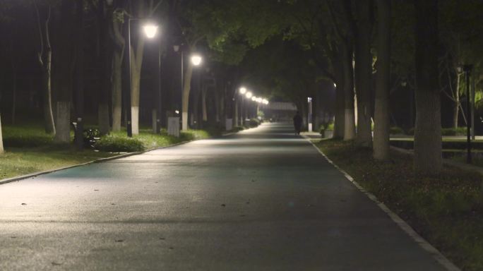 一个人，夜跑，跑步背影 4K视频素材