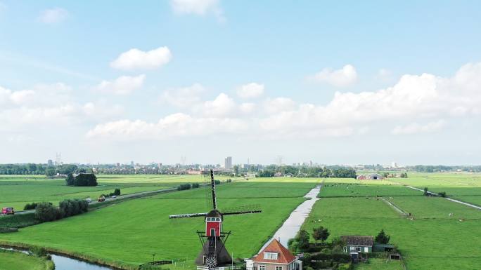 新的与旧的。传统的荷兰景观，风车和奶牛。后方城市的扩张