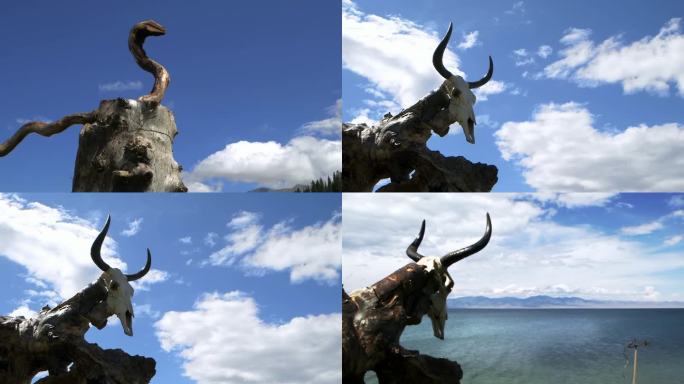 赛里木湖雕塑羊骨牛头湖面风景延时C021