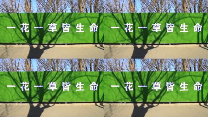 城市建设一花一草皆生命绿底白色情宣传标牌