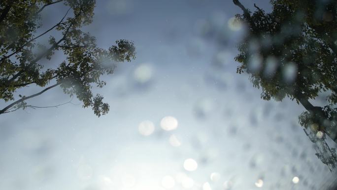 意境雨点阳光下滑落