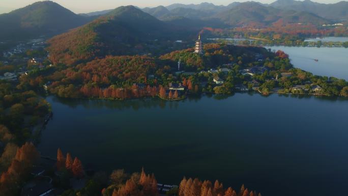 4k60帧航拍雷峰塔秋色晨光水杉