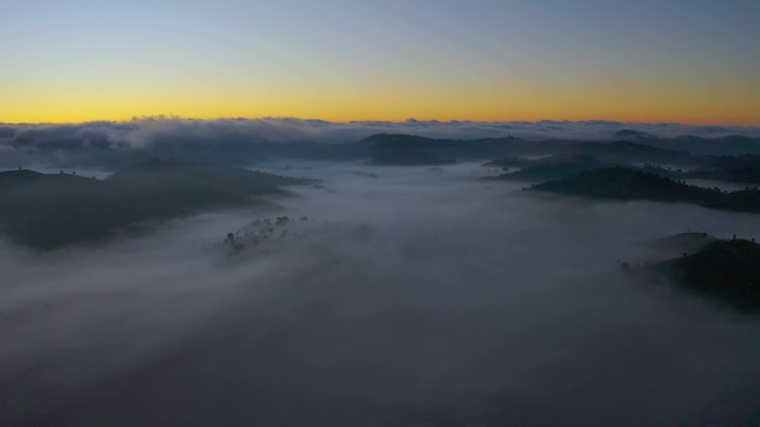 航拍茶山