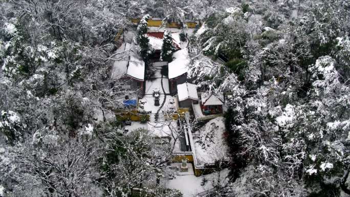 古都金陵南京腊梅紫金山秦淮河南大雪天飘香