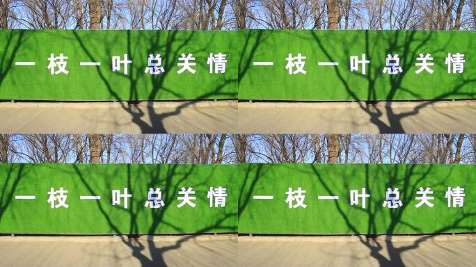 城市建设一枝一叶总关情绿底白色情宣传标牌