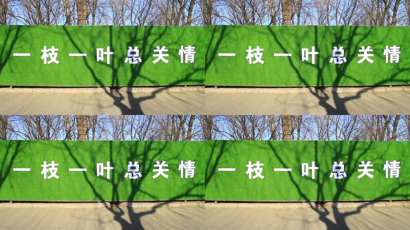 城市建设一枝一叶总关情绿底白色情宣传标牌