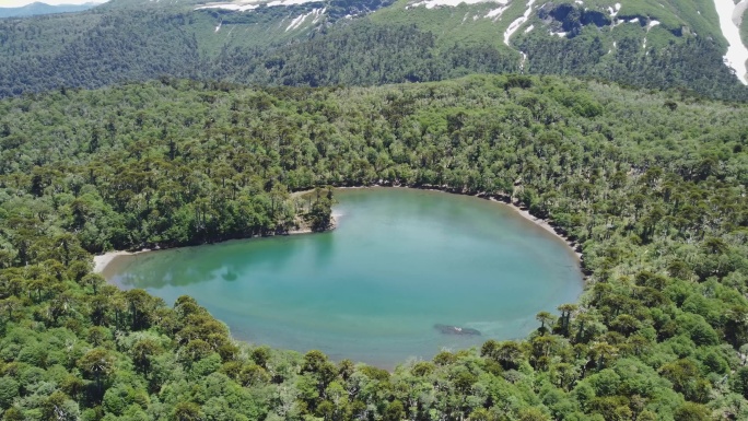 山顶森林中的湖泊碧绿湖水山顶湖泊茂密森林