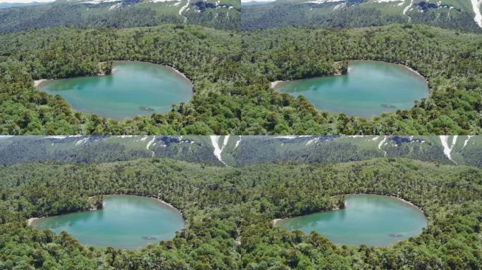 山顶森林中的湖泊碧绿湖水山顶湖泊茂密森林