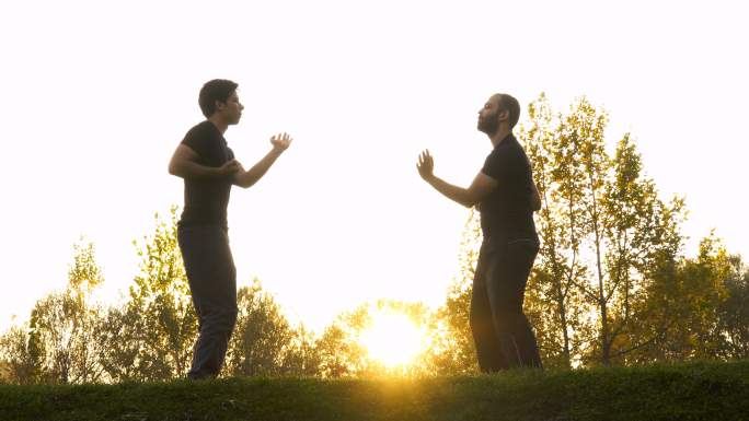两名男子在公园里练习武术