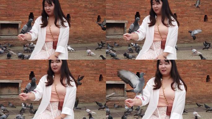 美女游客喂鸽子的慢镜头视频