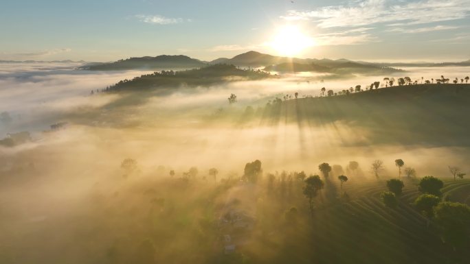 茶山云海日出