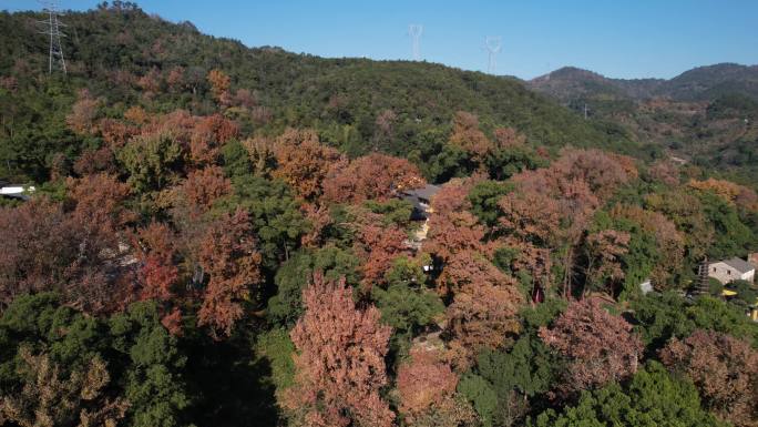 寺庙 明因讲寺 温岭十景