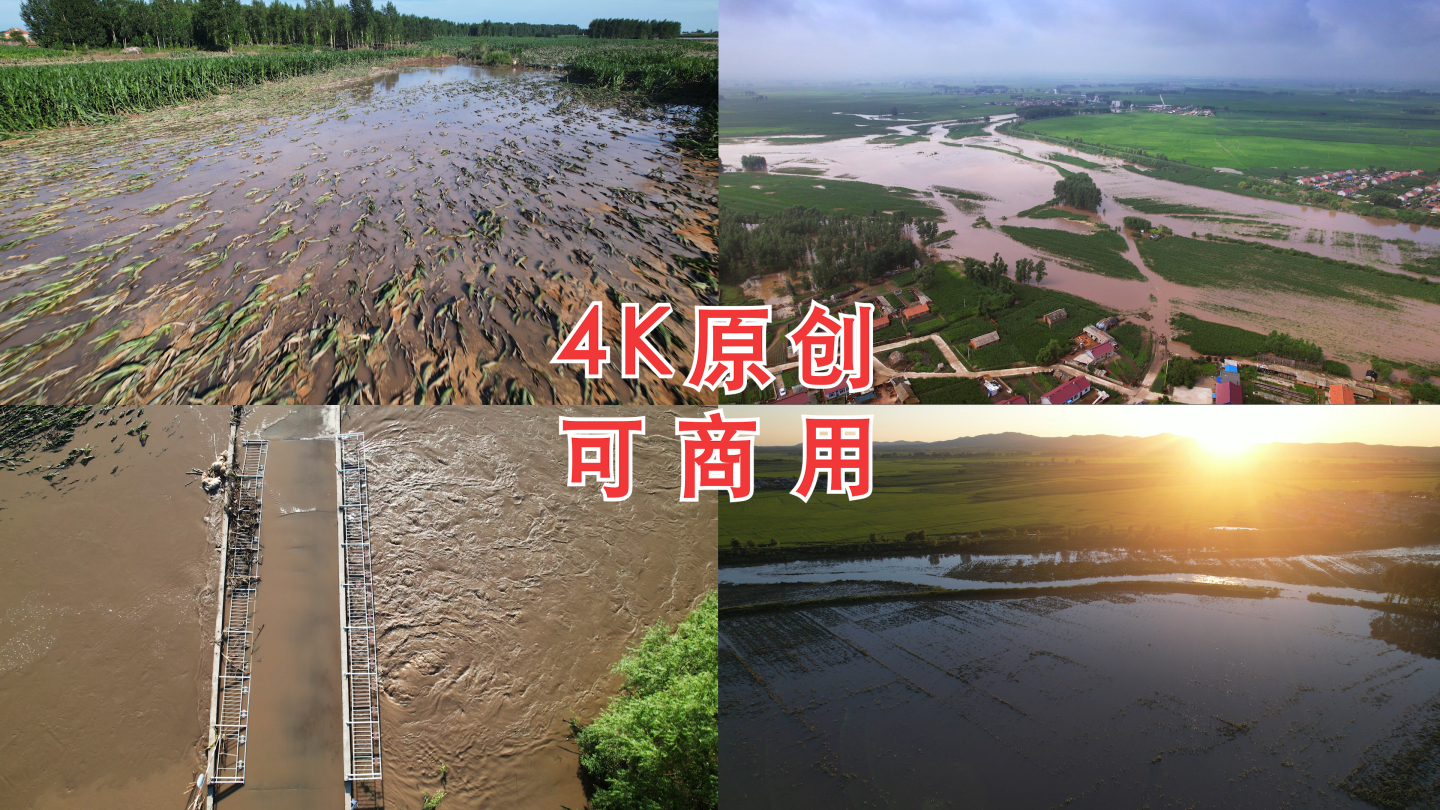 洪涝灾害 庄稼被冲倒 洪水 农民 乡村
