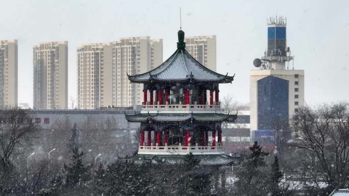 雪中月湖公园