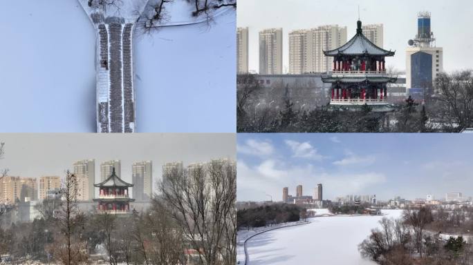 雪中月湖公园