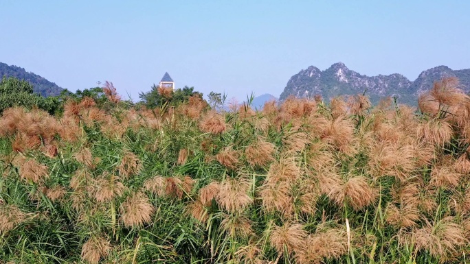 航拍广西凭祥乡村振兴主题风光