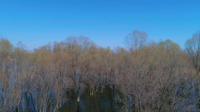 北方湿地初春航拍