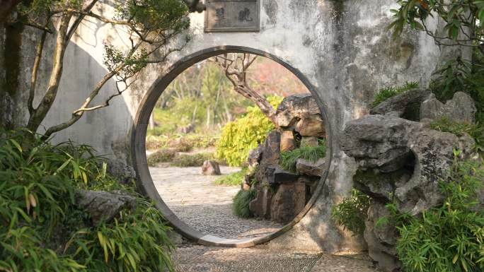 苏州园林空景 狮子林 拙政园 留园 藕园