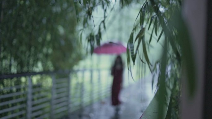 唯美升格森林打伞雨中漫步身影背影 下雨