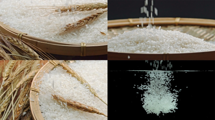 大米水稻稻谷五常大米米饭香米
