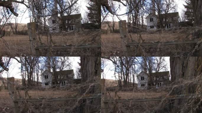 闹鬼的老房子-第2部分，共3部分