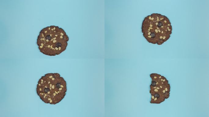 停止运动动画巧克力片饼干吃动画蓝色背景。
