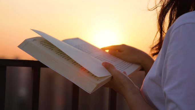 日落时看书看书读书读书节夕阳女青年