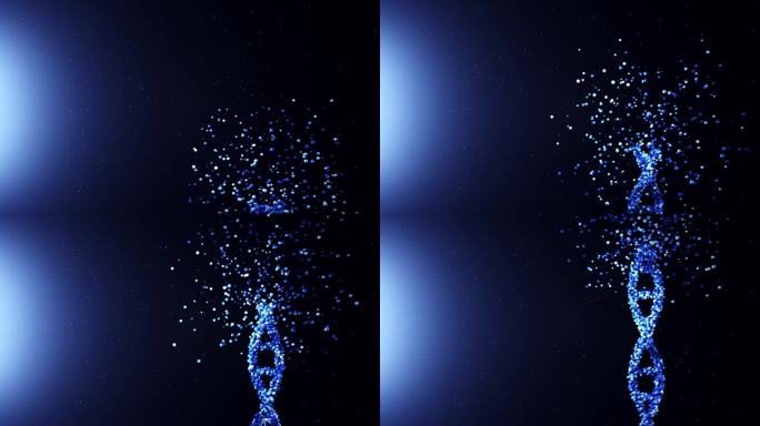 小球粒子汇聚DNA