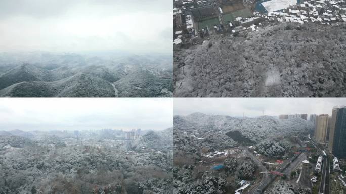 一场小雪 瑞雪兆丰年 下雪 雪景 飘雪