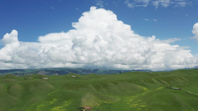 新疆伊犁喀拉峻天空草原