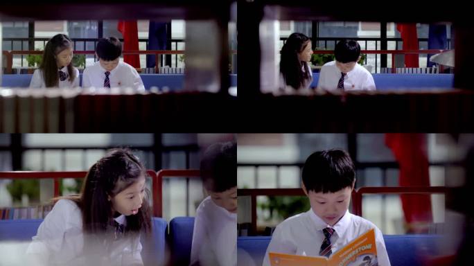 学生在图书馆学习交流