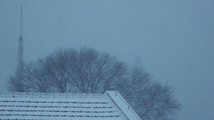 雪花飞雪飘雪下雪瑞雪兆丰年雪迎春到