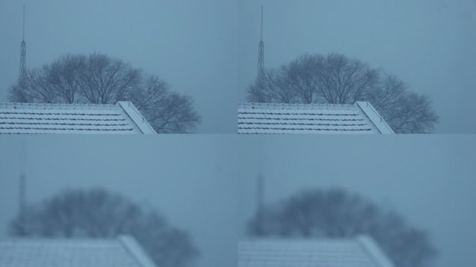 雪花飞雪飘雪下雪瑞雪兆丰年雪迎春到