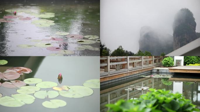 雨后山林