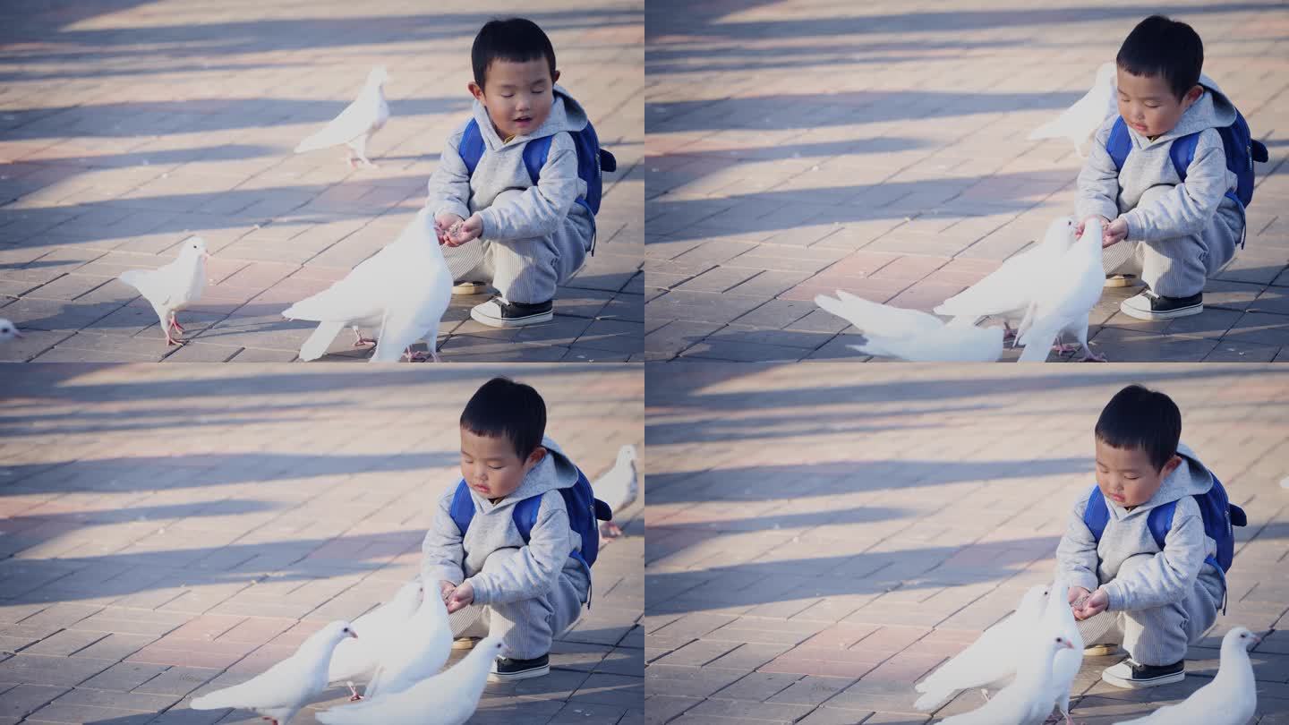 小男孩在公园里喂一群鸽子