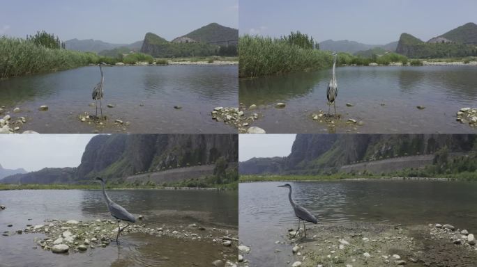 绿水青山