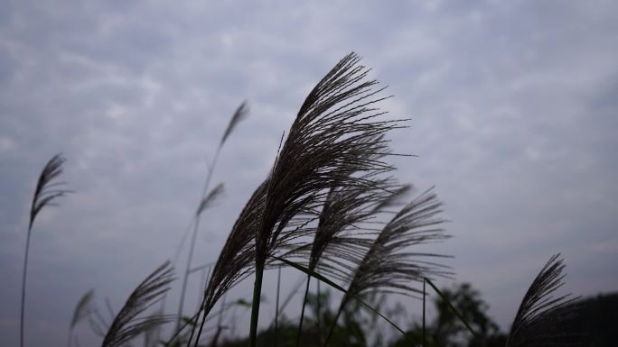 桂林美景 慢动作空境