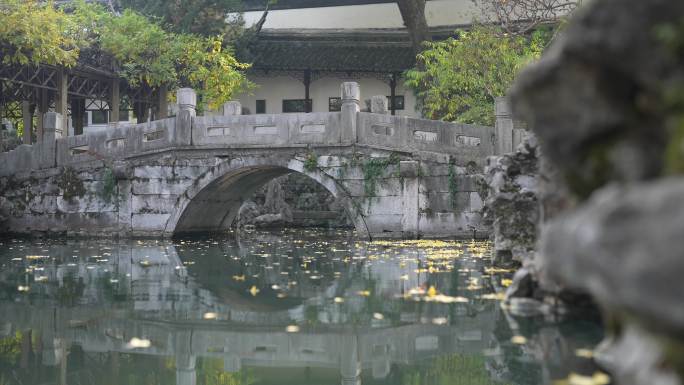 苏州园林空景 狮子林 拙政园 留园 藕园