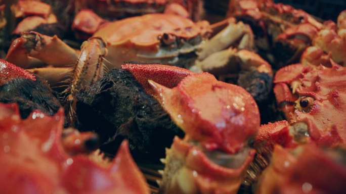 螃蟹蒸笼里的中秋节美食大闸蟹清蒸大闸蟹