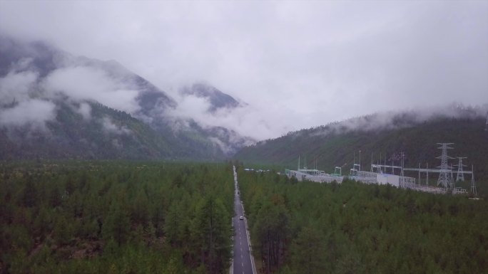 航拍汽车行驶在川藏公路的林荫大道