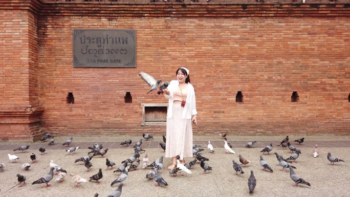 美女游客喂鸽子的慢镜头视频